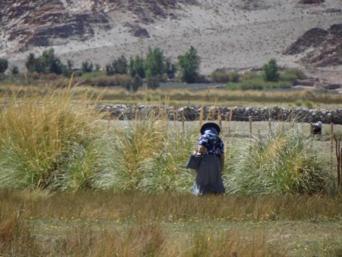 Antofagasta-de-la-Sierras-1