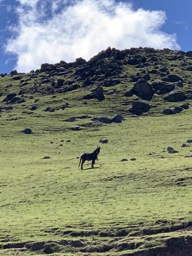 Fotos-Tucumas-2-scaled