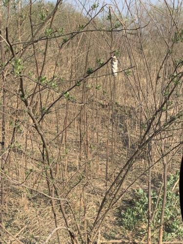 Santiago-foto-2-scaled