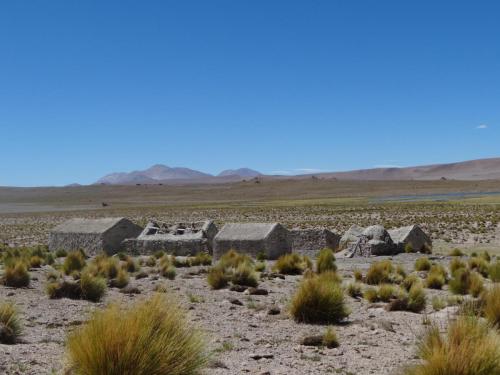 catamarca-rio-los-patos1-1